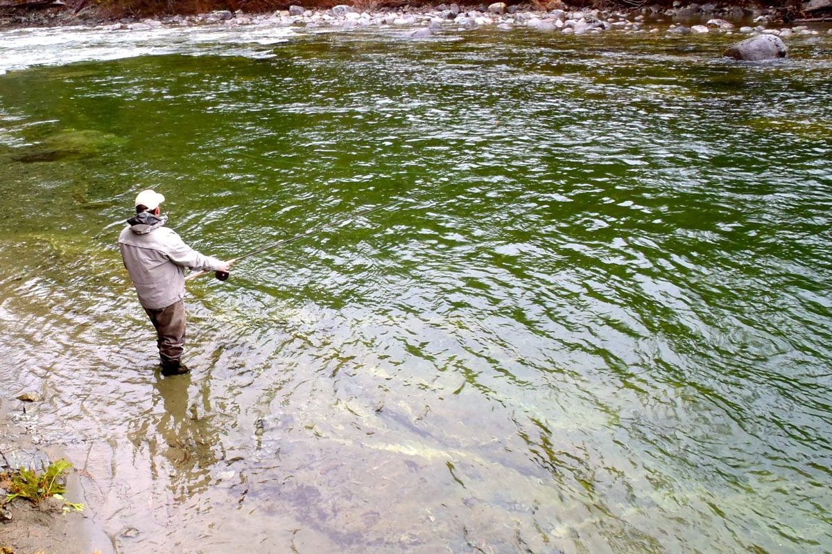 Freshwater fishing with Leisure Suit Charters