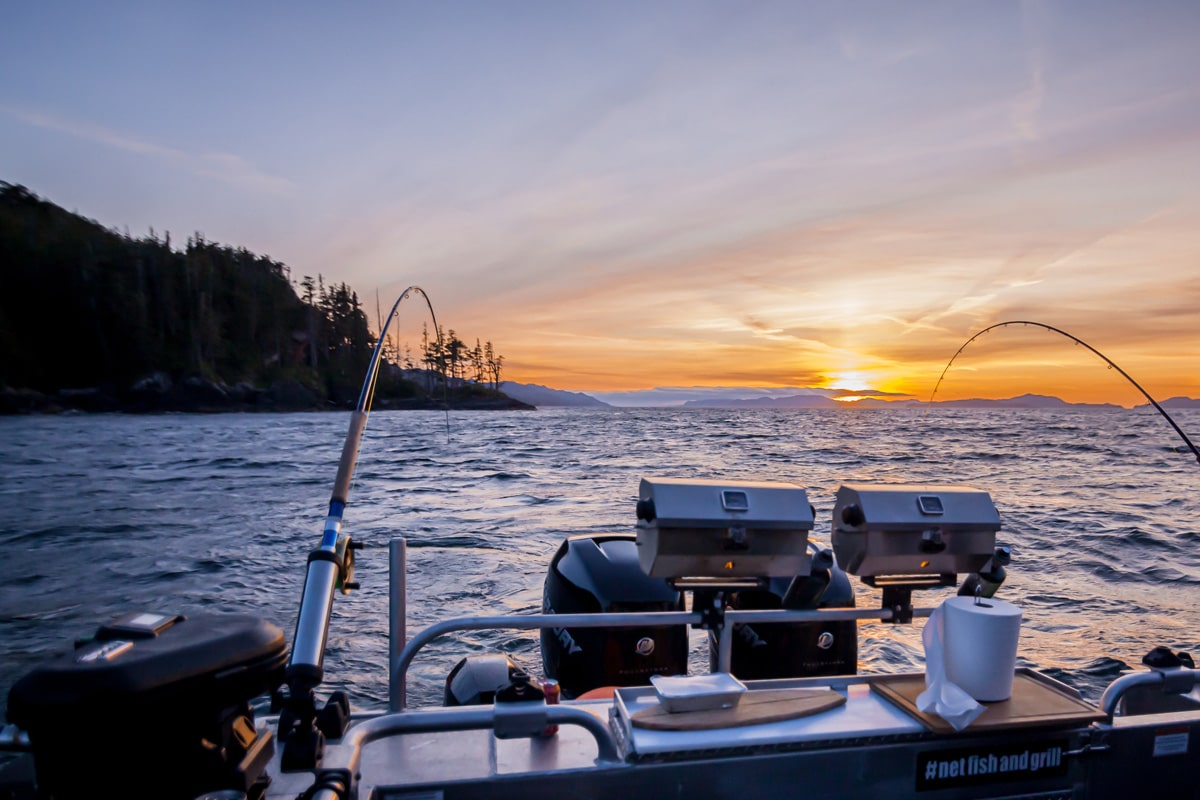 Night Bite fishing scene from Leisure Suit Charters